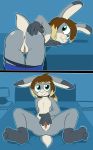  2018 2koma 3_toes 5_fingers absurd_res andromorph anthro anus bed bent_over big_butt blonde_hair blonde_highlights blue_bottomwear blue_clothing blue_panties blue_underwear blush bottomwear brown_hair butt clitoris clothed clothing comic dipstick_ears felino female fingers front_view fur furniture genitals green_eyes grey_body grey_fur hair hand_on_butt hi_res highlights_(coloring) inside intersex izzy_skye lagomorph lamp leporid looking_at_viewer looking_back mammal multicolored_ears multiple_positions nipples nude on_bed panties panties_down pants_down partially_clothed pink_nipples presenting presenting_anus presenting_pussy pussy rabbit rear_view short_tail sitting smile solo spread_anus spread_legs spread_pussy spreading thick_thighs toes underwear underwear_down undressing white_body white_fur 