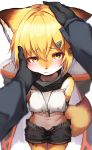  1girl absurdres animal_ears arknights black_gloves black_shorts blonde_hair blush closed_mouth doctor_(arknights) eyebrows_visible_through_hair furrification furry gloves hair_between_eyes hair_ornament hairclip hand_on_another&#039;s_head highres looking_at_viewer midriff navel short_hair shorts tab_head tail vermeil_(arknights) wavy_mouth yellow_eyes 
