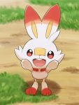  ao_anpk blurry blurry_background bunny bunny_day commentary_request fang gen_8_pokemon grass hands_up looking_up no_humans open_mouth pokemon pokemon_(creature) scorbunny smile standing starter_pokemon tongue 