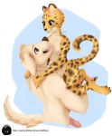  anthro beastars bird_dog breasts canid canine canis cheetah couple_art couple_love domestic_dog duo felid feline female genitals happy hi_res hunting_dog icedfoxed jack_(beastars) labrador male male/female mammal nipples nude penis pussy retriever romantic_couple shiira_(beastars) 