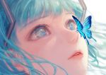  1girl akizakura_mns aqua_eyes aqua_hair blue_butterfly butterfly_on_nose close-up commentary face hair_ornament hatsune_miku highres lips looking_up parted_lips solo twintails vocaloid 