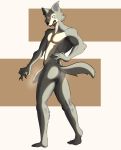  absurd_res anthro anus athletic beastars body_hair canid canine canis fluffy fluffy_tail genitals half-erect hi_res humanoid_genitalia humanoid_penis legoshi_(beastars) looking_back male mammal matidramon muscular muscular_male musk nude pecs penis pose solo wolf 