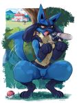 2020 angry anthro areola blue_body blue_fur bodily_fluids breasts canid canine crouching darkluxia detailed_background disembodied_penis drooling duo edit erection female fur genital_fluids genitals hi_res lucario male male/female mammal nintendo nipples offscreen_character open_mouth oral outside penis pok&eacute;ball pok&eacute;mon pok&eacute;mon_(species) public public_nudity pussy pussy_juice red_eyes saliva saliva_on_penis saliva_on_tongue saliva_string small_breasts solo_focus tailwag teeth tongue tongue_out video_games 