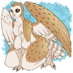  1:1 4_toes anisodactyl anthro avian barn_owl beak bird bird_feet breasts eyelashes feathered_wings feathers female hi_res kneeling masked_owl nipples non-mammal_breasts nut-case owl solo spots tan_body tan_feathers thick_thighs toes tytonid wide_hips wings 