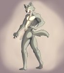  absurd_res anthro anus athletic beastars body_hair canid canine canis fluffy fluffy_tail genitals half-erect hi_res humanoid humanoid_genitalia humanoid_penis legoshi_(beastars) looking_back male male/male mammal matidramon muscular muscular_male musk nude pecs penis pose solo wolf 