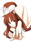  animal_ears brown_hair holo long_hair nude red_eyes ribi solo spice_and_wolf tail wolf_ears 