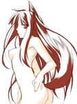  animal_ears breasts holo long_hair medium_breasts nude ribi solo spice_and_wolf tail wolf_ears 