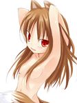  animal_ears armpits arms_up breasts brown_hair hair_censor hair_over_breasts holo kuro_(be_ok) long_hair nude red_eyes solo spice_and_wolf tail wolf_ears 