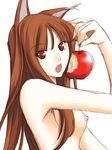  animal_ears apple breasts food fruit holo long_hair nipples nude ribi small_breasts solo spice_and_wolf wolf_ears 