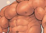  1boy abs bara bare_chest chest close-up erection facial_hair head_out_of_frame male_focus muscle navel nipples original pectorals penis shiny shiny_skin solo stubble terujirou_(masateruteru) upper_body veins work_in_progress 