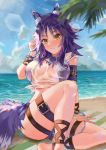  1girl absurdres animal_ear_fluff animal_ears arm_belt bangs beach bikini blue_sky blush breasts criss-cross_halter fang_qiao halterneck highres knee_up large_breasts looking_at_viewer makoto_(princess_connect!) medium_hair ocean palm_tree princess_connect! princess_connect!_re:dive purple_bikini purple_hair see-through shirt shore short_sleeves sidelocks sitting sky swimsuit tail thighs tied_shirt tree wet wet_clothes wet_shirt white_shirt wolf_ears wolf_girl wolf_tail yellow_eyes 