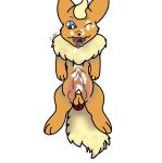  absurd_res anal anal_knotting animal_genitalia animal_penis anus balls blue_eyes canine_penis chest_tuft eeveelution erection flareon fluffy fluffy_tail genitals growth half-erect hi_res knot knotting male nintendo one_eye_closed open_mouth penis penis_tip pok&eacute;mon pok&eacute;mon_(species) sex sheath snout solo spread_legs spreading starevara tongue tongue_out tuft video_games 