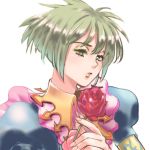  1girl asellus_(saga_frontier) commentary_request dress flower green_hair looking_at_viewer red_flower red_rose rose saga saga_frontier short_hair simple_background solo white_background 