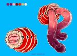  absurd_res anatomically_correct anatomically_correct_genitalia animal_genitalia anthro anus arthropod arthropod_abdomen arthropod_abdomen_anus arthropod_abdomen_genitalia arthropod_abdomen_penis big_penis bodily_fluids cecropia_moth genital_fluids genital_slit genitals hi_res huge_anus huge_penis hyper hyper_genitalia hyper_penis insect lepidopteran male model_sheet moth multi_genitalia multi_penis penis prehensile_penis puffy_anus saturniid slit solo sweet_yissus 