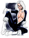  black_cat garrett_blair marvel spider-man tagme 