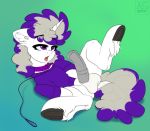  2019 absurd_res airfly-pony animal_genitalia animal_penis balls boysenberry clothed clothed_feral clothing collar dock equid equine equine_penis fan_character feral flared_penis fur genitals gradient_background green_background grey_mane grey_tail hasbro hi_res horn inner_ear_fluff lying male mammal mane medial_ring multicolored_mane multicolored_tail my_little_pony on_back open_mouth penis presenting presenting_penis purple_eyes purple_mane purple_tail signature simple_background solo sweater text topwear tuft underhoof unicorn white_body white_fur 