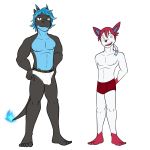  1:1 anthro anthrofied athletic athletic_anthro athletic_male boxer_briefs briefs bulge clothed clothing duo eeveelution full-length_portrait fuze hands_on_hips hi_res male mega_charizard mega_charizard_x mega_evolution navel nintendo nipples pok&eacute;mon pok&eacute;mon_(species) portrait simple_background standing sylveon topless underwear underwear_only video_games white_background 