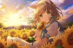  1girl animal_ears bangs blue_neckwear blue_sailor_collar blurry blurry_background blurry_foreground braid brown_hair cat_ears cloud commentary_request dress field flower flower_field gradient_sky green_eyes hair_blowing highres holding holding_flower hoshiibara_mato looking_at_viewer mountain neckerchief original parted_lips petals sailor_collar sailor_dress short_hair short_sleeves sitting sky sleeve_cuffs solo sunflower sunset twin_braids wind 