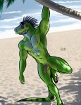  abs anthro balls bgn biceps clothing evergreen_tree eyewear flaccid footwear gary_(bgn) genitals green_body green_scales green_tail hi_res humanoid_genitalia humanoid_penis iguanid lizard male multicolored_body multicolored_scales muscular muscular_anthro muscular_male muscular_thighs nipples nude outside palm_tree pecs penis reptile sand sandals scales scalie sky smile solo striped_tail stripes sunglasses tree yellow_eyes 