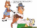  chip chip_&#039;n_dale_rescue_rangers dale gadget_hackwrench tagme 