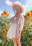  1girl animal_ears cat_ears dress field fkey flat_chest flower grey_hair hat highres legs long_hair looking_down outdoors red_eyes scenery sky solo sundress sunflower thighs 