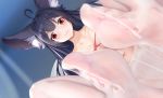  animal_ears black_hair blush close long_hair navel original panties pantyhose red_and_white red_eyes underwear 