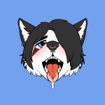  1:1 ahegao anthro black_body black_eyeshadow black_fur black_hair blue_eyes bodily_fluids canid canine canis domestic_dog drooling emo_hair emo_haircut eyeshadow facial_piercing fangs fur hair hi_res husky looking_pleasured makeup male mammal nordic_sled_dog nose_piercing pepperpkmon88 piercing rivey_ravenheart saliva solo spitz tongue tongue_out white_body white_fur 