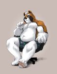  2020 anthro brown_body brown_fur bulge canid canine canis chair clothing domestic_dog fur furniture hi_res kenobear male mammal overweight overweight_anthro overweight_male simple_background sitting solo underwear white_body white_fur 