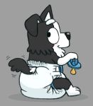  anthro bluey_(show) border_collie canid canine canis clean_diaper collie diaper digital_media_(artwork) domestic_dog fillyscoots42 fur herding_dog hi_res looking_at_viewer mackenzie_(bluey) male mammal pastoral_dog sheepdog simple_background smile solo tenerius 