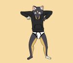  anthro artemis_furrson black_clothing black_hoodie black_topwear briefs canid canine canis clothing drawyourfursona hi_res hoodie male mammal meme meme_clothing solo standing topwear underwear white_clothing white_underwear wolf 