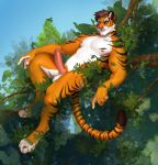  anthro balls erection felid feline fur genitals hi_res humanoid_genitalia humanoid_penis indigochto leaf male mammal meheheehehe nude orange_body orange_fur outside pantherine penis plant shrub sky solo striped_body striped_fur striped_tail stripes tiger tree white_body white_fur 