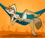  anthro breasts canid canine canis coyote feet female hammock mammal manzanita nicnak044 nipples nude outside paws pinup pinup_pose pose solo 