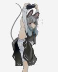  1girl animal_ears bangs black_footwear bloomers blue_capelet capelet collared_capelet eyebrows_visible_through_hair grey_hair grey_skirt grey_vest hair_between_eyes hand_on_own_foot holding holding_shoes ishikkoro jewelry layered_clothing long_sleeves looking_at_viewer mouse_ears mouse_tail nazrin pendant red_eyes shirt shoes short_hair skirt socks solo split standing standing_on_one_leg standing_split tail touhou translation_request underwear vest white_bloomers white_legwear white_shirt 