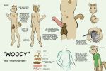  2017 3:2 animal_genitalia animal_penis anthro asinus balls bottomwear clothing donkey english_text equid equine equine_penis erection flaccid genitals horse jennifer_(study_partners) male mammal model_sheet nude pants penis shirt study_partners t-shirt text thunderouserections topwear woody_(study_partners) 