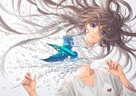  1girl bangs blue_eyes brown_hair common_kingfisher disembodied_head floating_hair grey_background hands_up heart highres kingfisher long_hair long_sleeves looking_at_viewer minami_(minami373916) original parted_lips shirt solo splashing surreal upper_body v-neck water white_shirt 