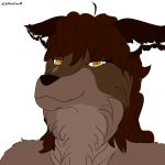  1:1 2020 anthro askalan black_outline brown_body brown_ears brown_fur brown_hair canid canine canis felid feline fur hair hi_res hybrid long_snout looking_at_viewer lynx mammal mane portrait signature simple_background snout white_background wolf yellow_eyes 