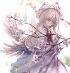  1girl angel_wings bangs blonde_hair blue_eyes blush branch capelet cherry_blossoms dress fairy_wings feathered_wings flower hat highres lily_white looking_at_viewer majikiti153 outdoors pink_dress pink_flower smile solo touhou tree wide_sleeves wings 