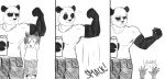  beastars canid canine canis clothing dialogue duo english_text frown giant_panda gouhin legoshi_(beastars) male mammal monochrome muscular pandad_au rexludo text ursid wolf 