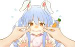  1girl 1other animal_ears bangs blue_hair blush braid bunny_ears carrot carrot_hair_ornament cheek_pinching claw_pose commentary don-chan_(usada_pekora) eyebrows_visible_through_hair flying_sweatdrops food_themed_hair_ornament hair_between_eyes hair_ornament highres hololive kyutai_x long_hair looking_at_viewer multicolored_hair open_mouth orange_eyes pinching pov pov_hands short_eyebrows sidelocks simple_background solo_focus tearing_up thick_eyebrows twin_braids twintails two-tone_hair upper_body usada_pekora virtual_youtuber white_background white_hair 