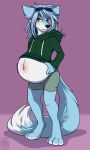  aero_vonheart belly blue_body blue_fur bottomwear canid canine clothing exposed_belly eyewear fluffy fluffy_tail fox fur goggles goggles_on_head hair hi_res hoodie long_hair long_tail male male_pregnancy mammal muzz pregnant shorts solo topwear white_belly 