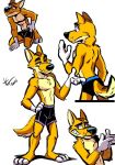  anthro bottomwear boxers_(clothing) canid canine canis clothing dingo hi_res juneduck21 male mammal shorts solo underwear 