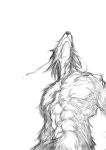  2020 abs anthro beastars blood bodily_fluids canid canine canis fur half-length_portrait implied_nudity ktandoku legoshi_(beastars) low-angle_view male mammal monochrome muscular muscular_anthro muscular_male notched_ear portrait sketch solo tattoo wolf 