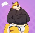  anthro black_clothing black_hoodie black_topwear bodily_fluids bulge canid canine clothing facial_piercing fox fur half_naked hi_res hoodie looking_away male mammal navel nose_piercing overweight overweight_anthro overweight_male piercing skai skaifox slightly_chubby solo striped_body striped_fur stripes sweat topwear underwear yellow_body yellow_fur 