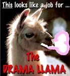  ditto dittooo drama_llama its_ditto meme rule34d 