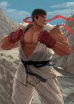  1boy bara belt black_hair blue_sky dainyuu_(dgls) day dougi fingerless_gloves gloves hachimaki headband looking_to_the_side male_focus manly muscle parted_lips pectorals red_gloves ryuu_(street_fighter) sky solo street_fighter thick_eyebrows torn_clothes 