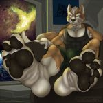  1:1 4_toes anthro canid canine claws foot_fetish foot_focus fox fox_mccloud jwolfsky looking_at_viewer male mammal nintendo pawpads soles solo star_fox toe_claws toes video_games 