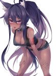  1girl :d ahoge animal_ear_fluff animal_ears bare_arms bare_shoulders bent_over black_choker black_hair black_panties black_shirt breasts choker cleavage crop_top dark_skin gold_trim hands_on_own_thighs heavy_breathing highres jingo long_hair looking_at_viewer medium_breasts micro_shorts midriff open_fly open_mouth original panties ponytail purple_eyes shirt shorts simple_background sleeveless sleeveless_shirt smile solo standing string_panties sweat thighs tongue tongue_out underwear very_long_hair white_background 