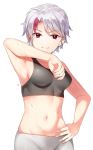  1girl absurdres arm_up armpits bangs bare_arms bare_shoulders breasts closed_mouth collarbone commentary_request cowboy_shot derori grey_hair grey_pants han&#039;you_no_yashahime hand_on_hip highres higurashi_towa looking_at_viewer medium_breasts midriff multicolored_hair navel pants red_eyes red_hair short_hair silver_hair simple_background smile solo sports_bra stomach streaked_hair sweat two-tone_hair white_background 