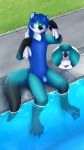 anthro blue_hair buttplug chastity_cage chastity_device clothed clothing crossdressing girly hair hi_res lutrine male mammal mokata mustelid null_bulge one-piece_swimsuit orgasm_denial pawpads public sex_toy solo swimwear zevendust 