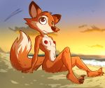  2018 anthro bassybefuddle beach breasts canid canine casual_nudity countershade_face countershade_torso countershading darma_(rock_dog) digital_media_(artwork) evening female fox fur looking_up mammal multicolored_body multicolored_fur navel nipples nude orange_body orange_fur outside public public_nudity rock_dog sand seaside sitting small_breasts solo sunset tomboy two_tone_body two_tone_fur water white_body white_fur 
